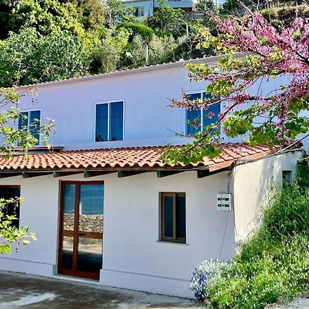 Villa Kate Borsh Exterior foto